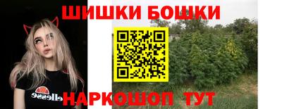 стаф Новозыбков