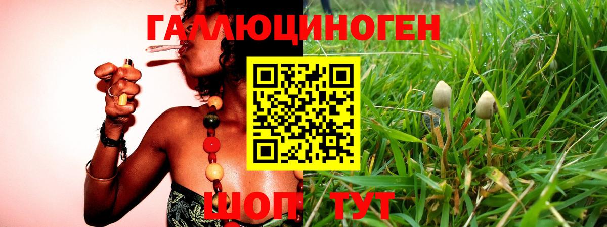 Галлюциногенные грибы MAGIC MUSHROOMS  Вход с VPN  Псилоцибиновые грибы Magic Shrooms  Кореновск 